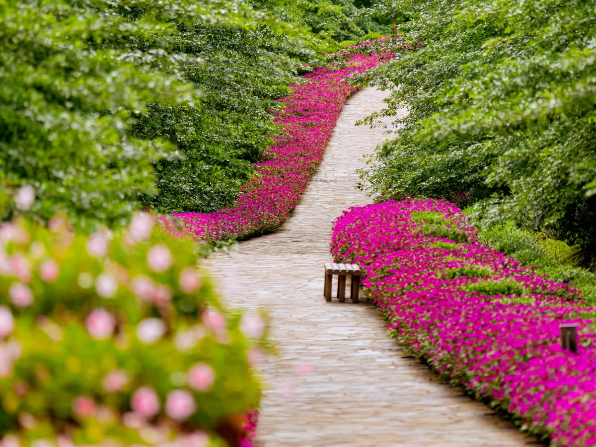 Garden Park Gramado